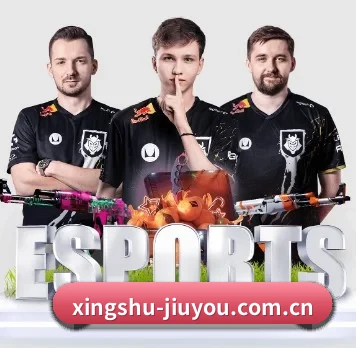 公司成立